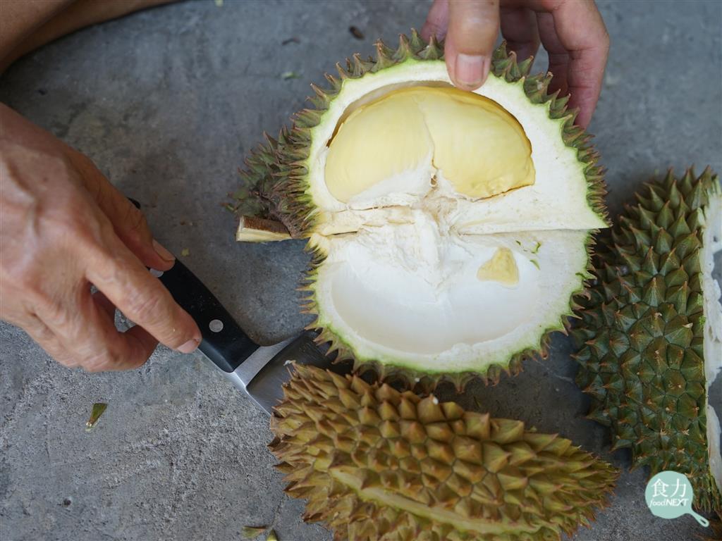 研究人員發現，榴槤中間白色、不可食用的廢棄物可以作為良好的電極材料來源。   圖：食力／提供