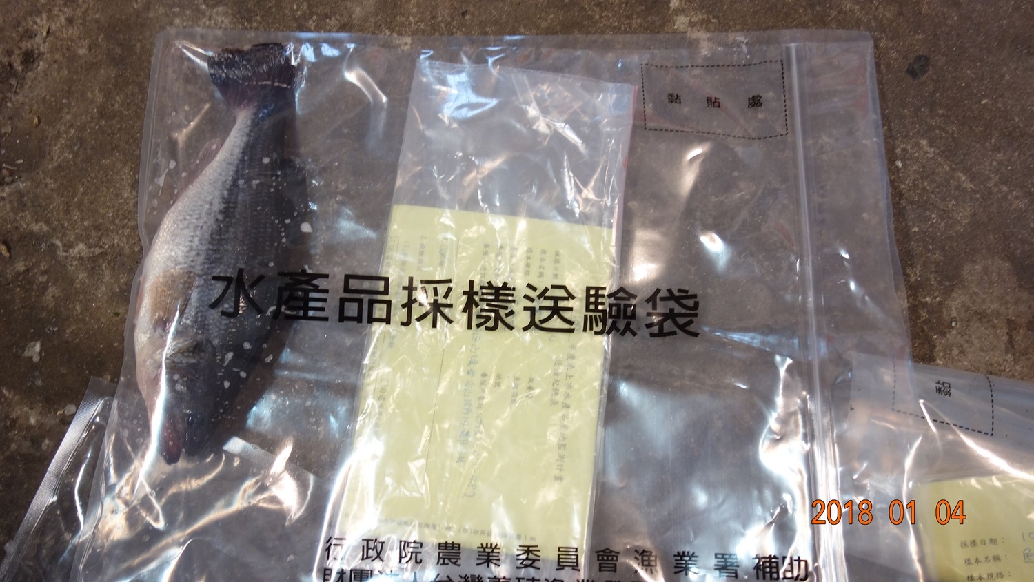 日本政府今日拍板福島核廢水將於2年後排入海中，對此農委會表示，不排除將加強水產品檢測（示意圖）。   圖：新北市政府提供